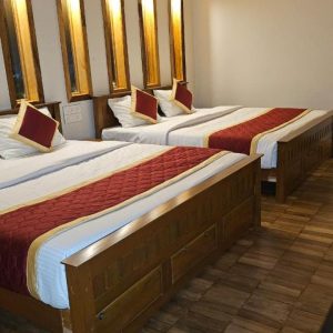 Suite-2-🏔️Tea estate view room