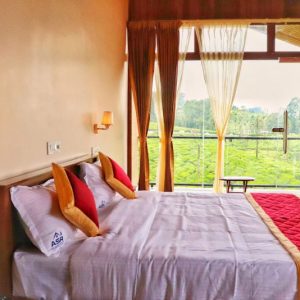 101-Scenic View-Room🏔️🌄🛏️-Double Room